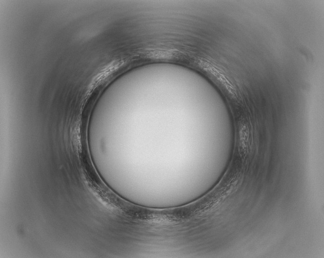 X0000115500682200911201619