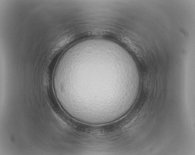 X0000115500683200911201619