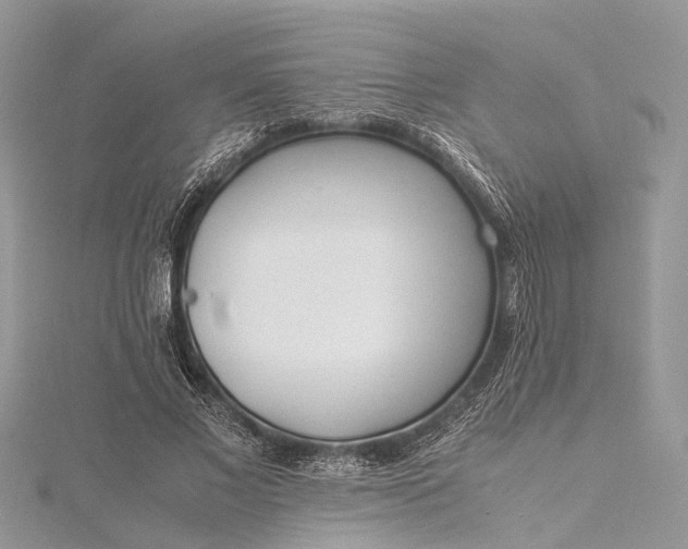 X0000115500685200911201619