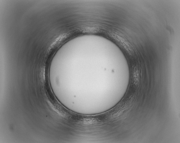 X0000115500686200911201619