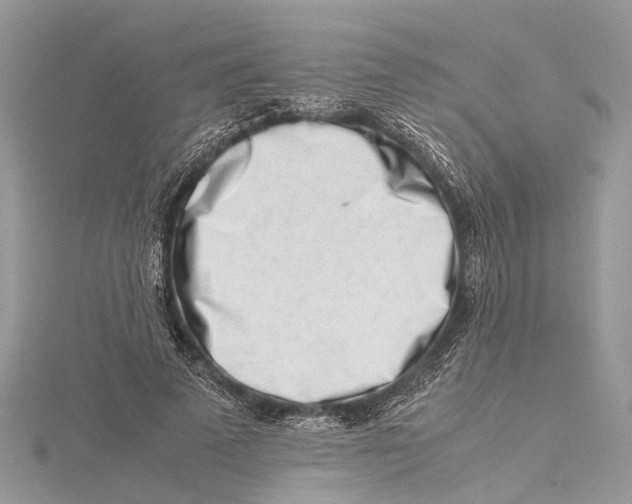 X0000115500689200911201619