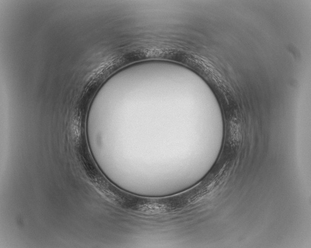 X0000115500691200911201619