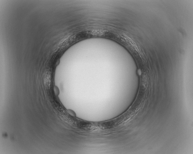 X0000115500697200911201619