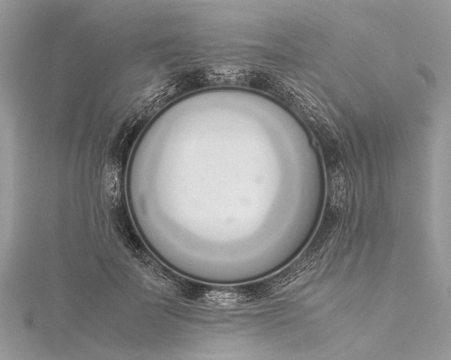 X0000115500699200911201619
