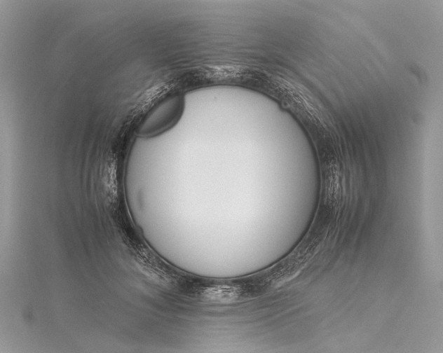X0000115500700200911201619