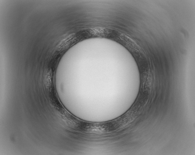 X0000115500702200911201618