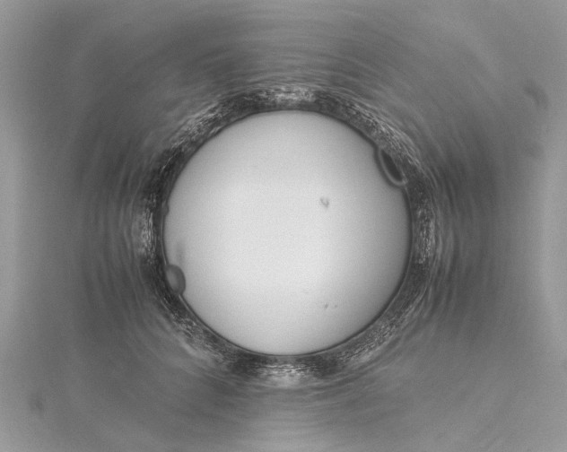 X0000115500704200911201618