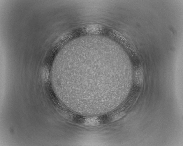 X0000115500705200911201618