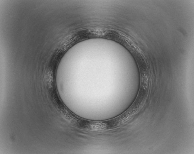 X0000115500707200911201618