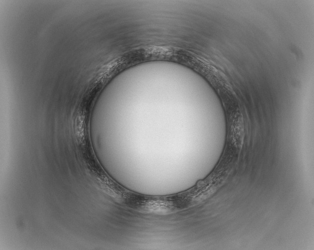 X0000115500708200911201618