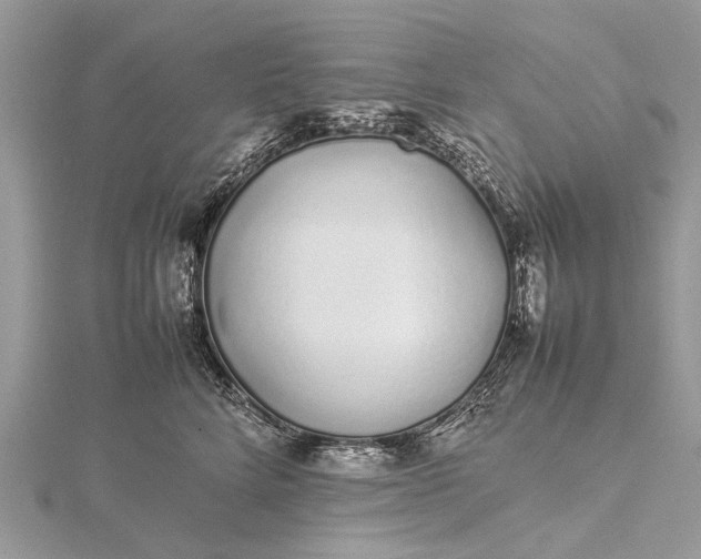 X0000115500712200911201618