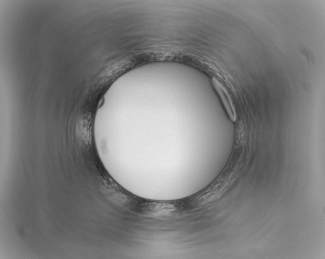 X0000115500719200911201618