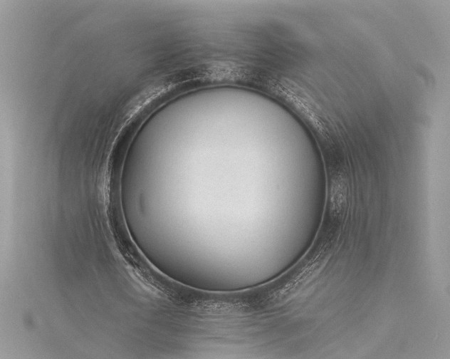 X0000115500722200911201618