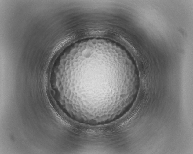 X0000115500725200911201618