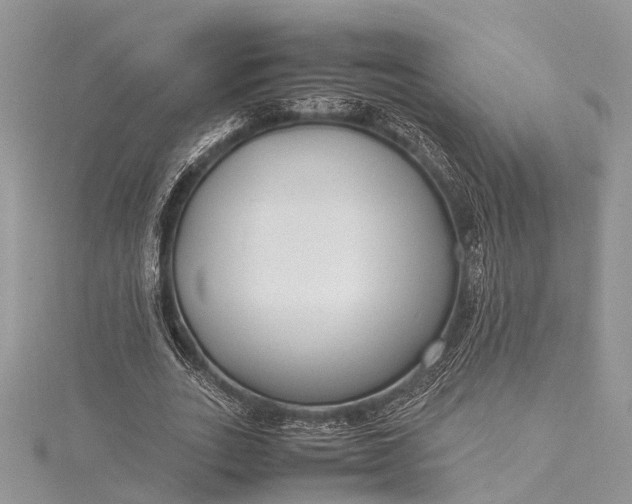 X0000115500727200911201618