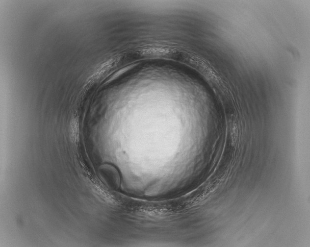 X0000115500729200911201618