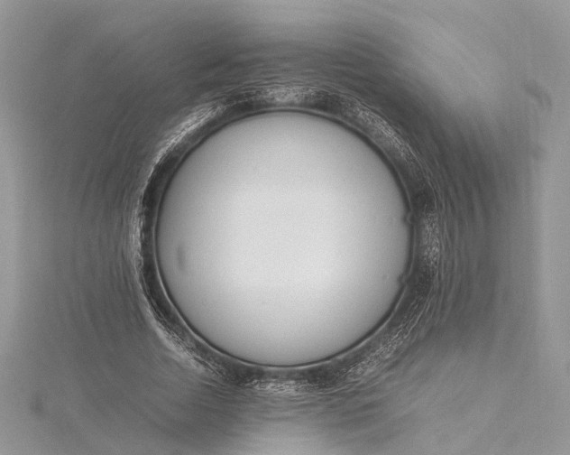 X0000115500730200911201618