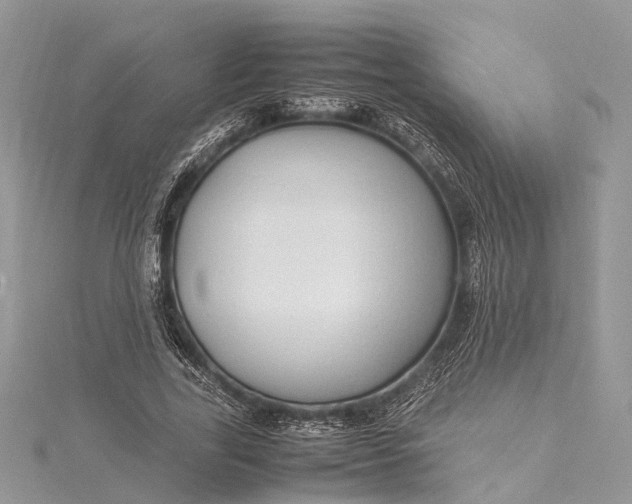 X0000115500731200911201618