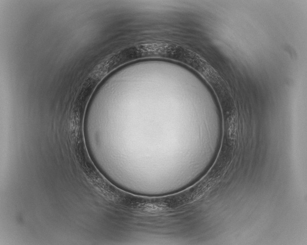 X0000115500737200911201618