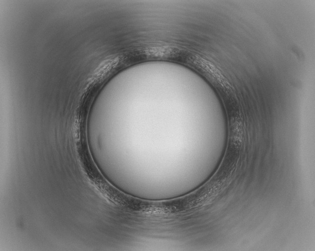 X0000115500738200911201618