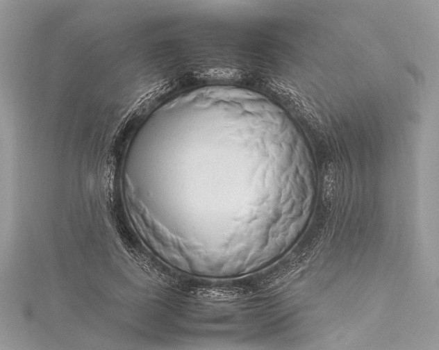 X0000115500739200911201618