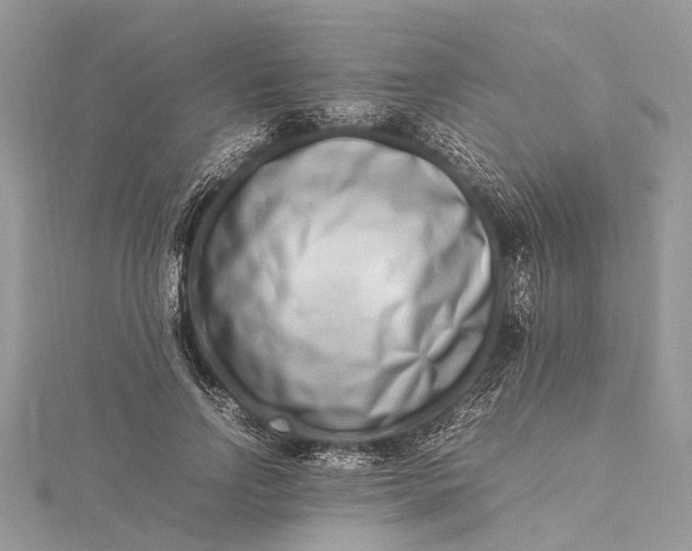 X0000115500742200911201618