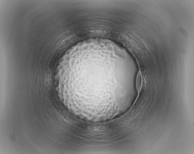 X0000115500745200911201618