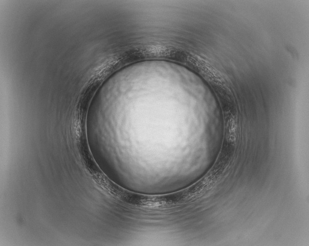 X0000115500746200911201618