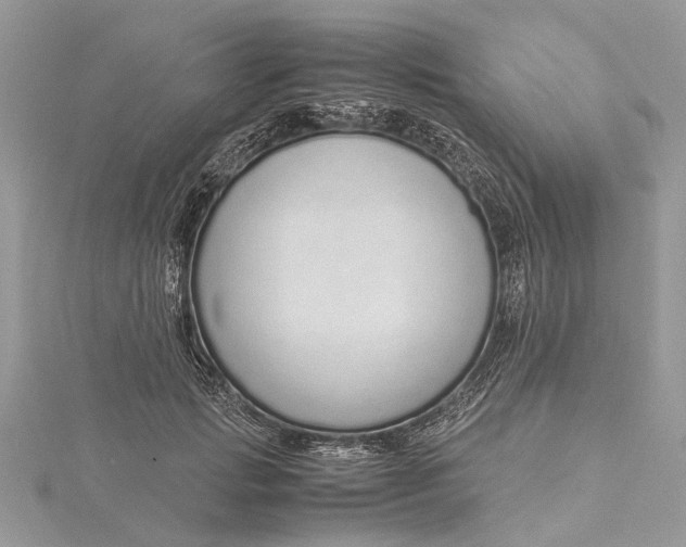 X0000115500749200911201618