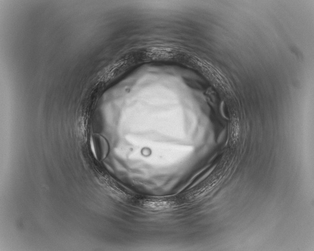 X0000115500759200911201618