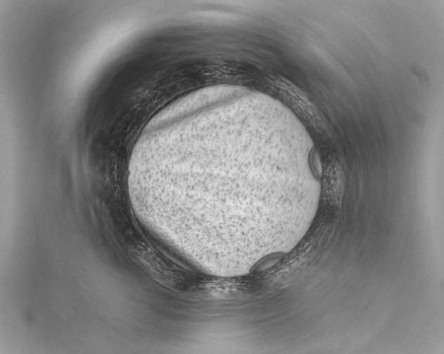 X0000115500762200911201618