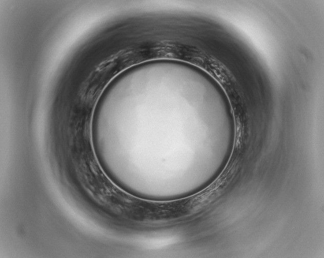X0000115500765200911201618