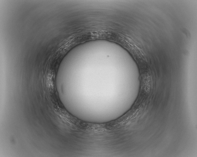 X0000115500770200911201618