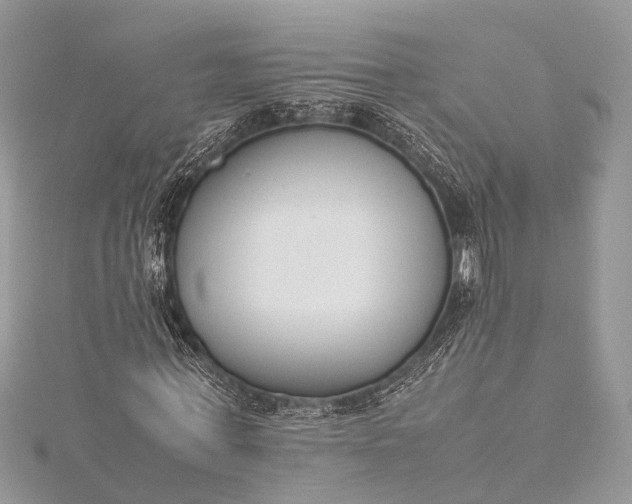X0000115500771200911201617