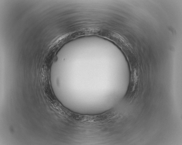 X0000115500773200911201617