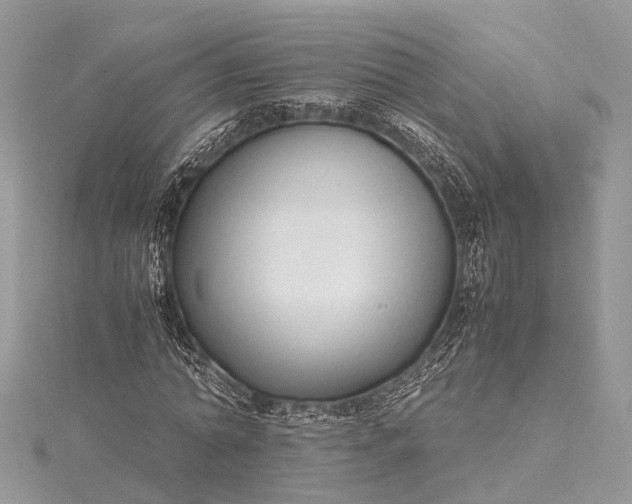 X0000115500774200911201617