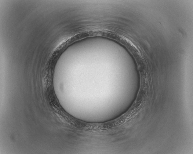 X0000115500775200911201617