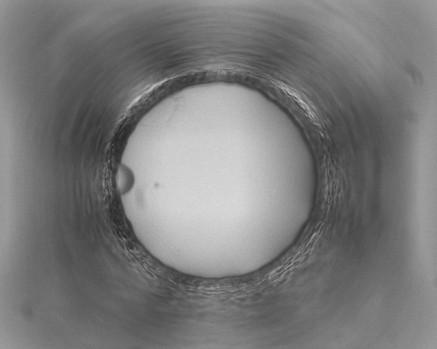 X0000115500776200911201617