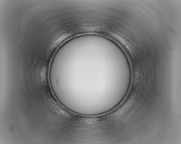X0000115500778200911201617