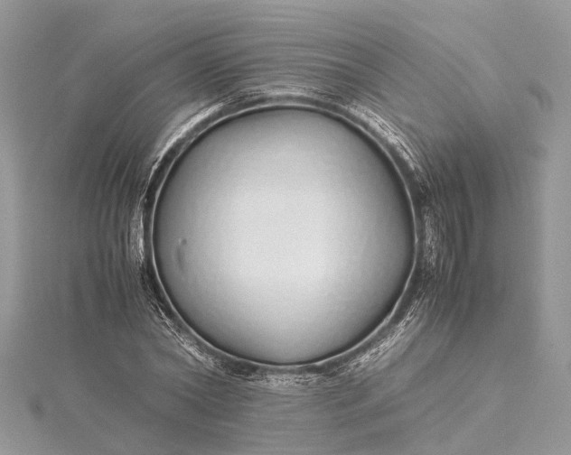 X0000115500782200911201617