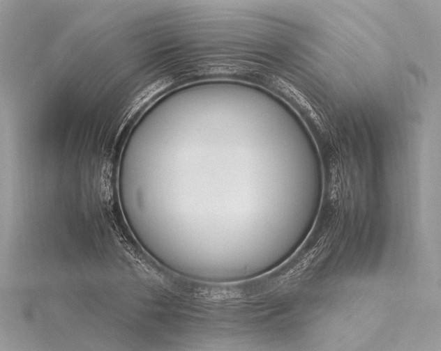 X0000115500786200911201617