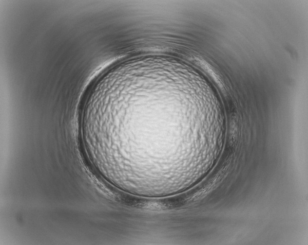 X0000115500787200911201617