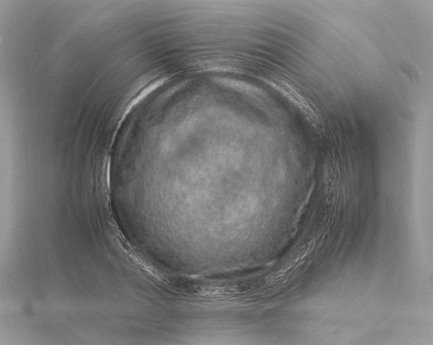 X0000115500790200911201617