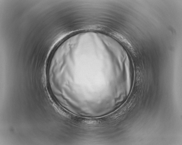 X0000115500792200911201617