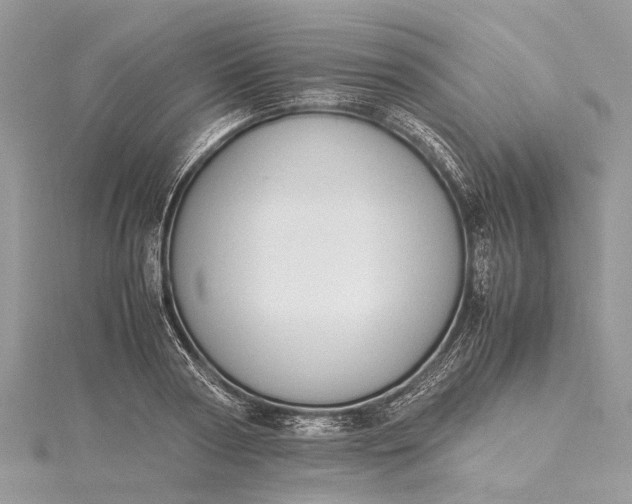 X0000115500794200911201617