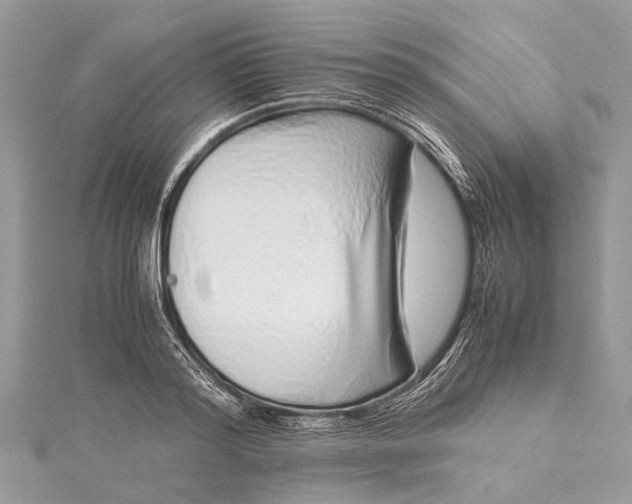 X0000115500796200911201617
