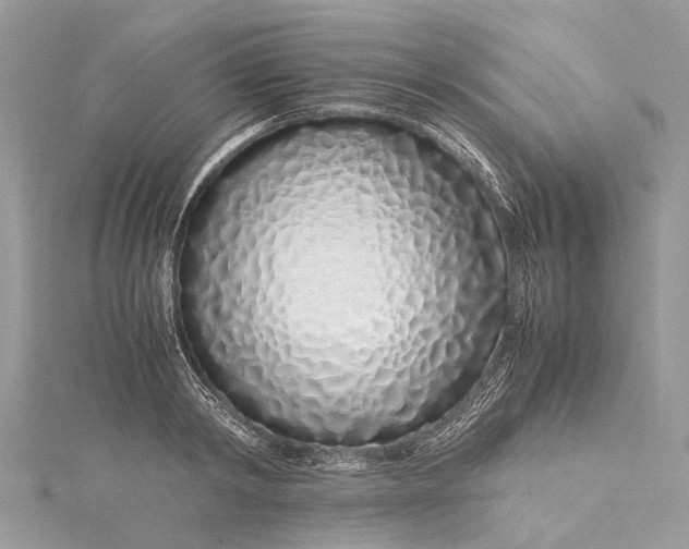 X0000115500798200911201617