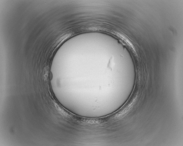 X0000115500801200911201617