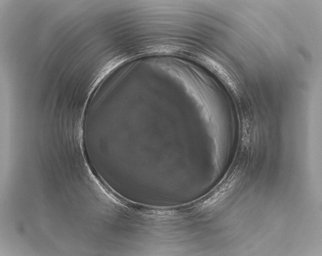 X0000115500802200911201617
