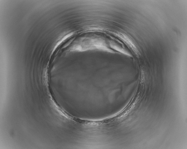 X0000115500806200911201617